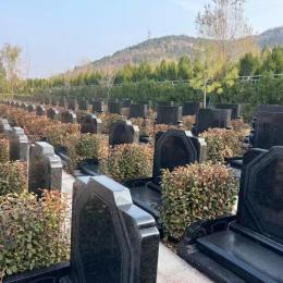 陵園墓地
